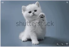 1665903872018.webp 1665903872018.webp