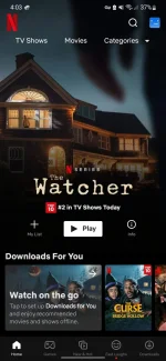 Screenshot_20221016-160330_Netflix.webp