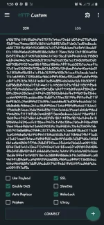 Screenshot_20221016-215518_HTTP Custom.webp