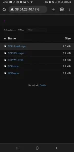 Screenshot_20221017-165257_Chrome.webp