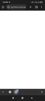 Screenshot_2022-10-18-19-28-57-282_com.android.chrome.webp Screenshot_2022-10-18-19-28-57-282_com.android.chrome.webp