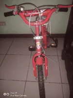 1666259884534.webp