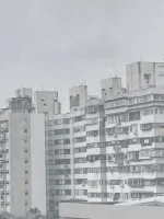 1666280990131.webp