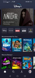 Screenshot_20221022_124515_com.disney.disneyplus.webp