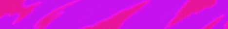 standard.gif standard.gif