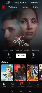 Screenshot_20221026_205707_com.netflix.mediaclient.webp