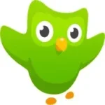 1666892221587.webp 1666892221587.webp