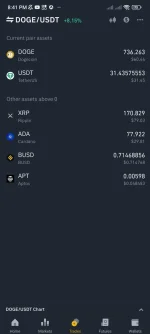 Screenshot_2022-10-28-20-41-55-496_com.binance.dev.webp
