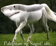 1667041470452.jpg