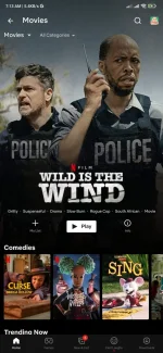 Screenshot_2022-10-30-07-13-18-202_com.netflix.mediaclient.webp