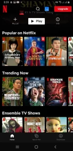 Screenshot_20221030-205945_Netflix.webp