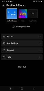 Screenshot_20221030-205936_Netflix.webp