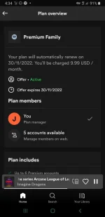 Screenshot_20221031-163453_Spotify.webp