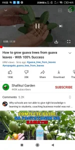 Screenshot_2022-10-31-19-52-22-129_app.revanced.android.YøùTùbé.webp