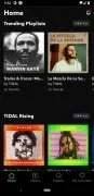 tidal-15410-1.jpg tidal-15410-1.jpg