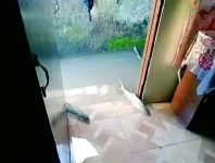 1667292851714.webp