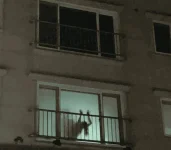1667298206537.png