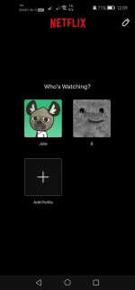 Screenshot_20221102_000953_com.netflix.mediaclient.webp