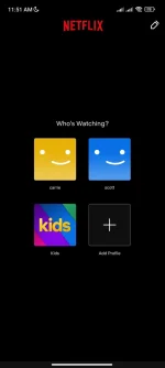 Screenshot_2022-11-02-11-51-48-770_com.netflix.mediaclient.webp