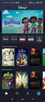 Screenshot_2022-11-02-12-22-23-495_com.disney.disneyplus.webp