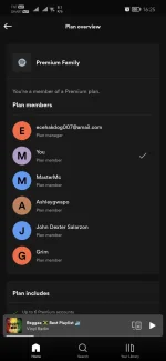 Screenshot_20221102_162519_com.spotify.music.webp