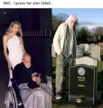 1667398528760.webp