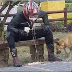 1667398540145.webp