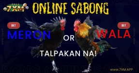1667405360985.webp