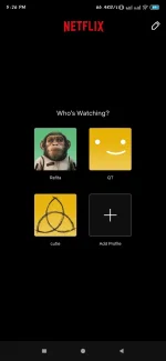 Screenshot_2022-11-03-17-26-21-150_com.netflix.mediaclient.webp