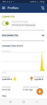Screenshot_20221103-200114_OpenVPN Connect.webp