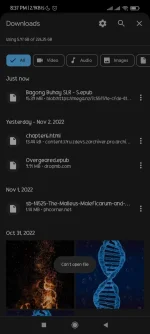 Screenshot_2022-11-03-20-37-19-582_com.android.chrome.webp