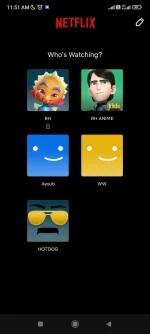 Screenshot_2022-11-05-11-51-25-497_com.netflix.mediaclient.webp