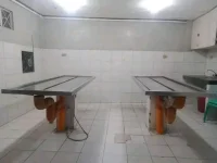 1667800601027.webp