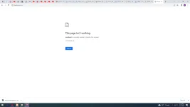 1667808801323.webp