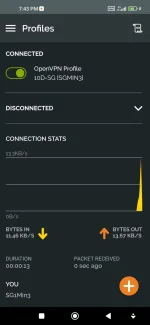 Screenshot_2022-11-07-19-43-36-819_net.openvpn.openvpn.webp