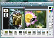 images (6).webp images (6).webp