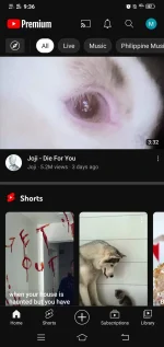 Screenshot_20221108_093630.webp