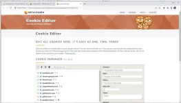cøøkíéEditorIn-Use.webp cøøkíéEditorIn-Use.webp