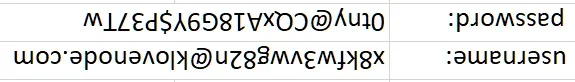 am1 (2).webp
