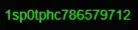 4.webp