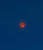 Picsart_22-11-09_03-24-16-570.webp
