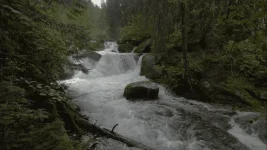 1668071361900.webp