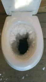 1668097169193.webp