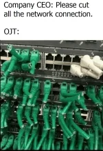 1668098528336.png
