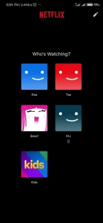 Screenshot_2022-11-11-17-54-16-118_com.netflix.mediaclient.webp