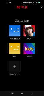 Screenshot_2022-11-11-18-13-52-957_com.netflix.mediaclient.webp