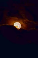 FB_IMG_1668168973308.webp