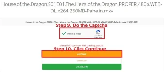 Step 9 10.jpg Step 9 10.jpg
