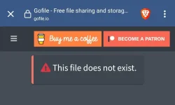 Screenshot_2022-11-12-00-42-30-059-edit_com.brave.browser.webp