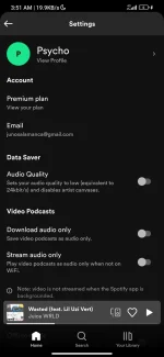 Screenshot_2022-11-12-03-51-35-466_com.spotify.music.webp
